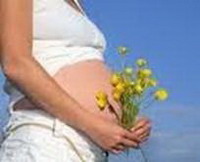 Фитотерапия для беременных