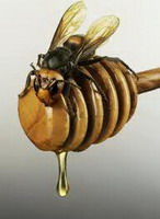 народное лечение острого простатита настоями трав с мёдом