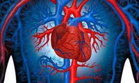 сердцебиение  (доктор генри)
